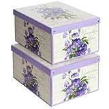 Kanguru SET 2 Cajas con tapa perfumada, organizadoras de almacenamiento ropa, almacenaje decorativas en carton, 39x50x24cm, para armario, baul,...