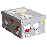 Kanguru SNOOPY, Caja organizadora de almacenamiento ropa, para almacenaje decorativa en carton, 39x50x24 cm, para armario, baul, zapatos,...