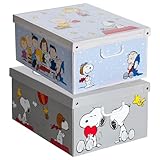 Kanguru SET 2 Cajas organizadoras SNOOPY MIX, de almacenamiento ropa, almacenaje decorativas en carton, 39x50x24cm, para armario, baul, bolsas,...