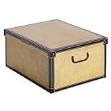 Lavatelli Caja organizadora de almacenamiento ropa, para almacenaje decorativa en carton, 40x50x25 cm, para armario, baul, zapatos, calcetines,...