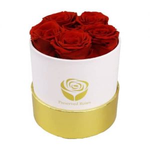 Yamonic 5 Rosas Reales caja Regalo San Valentín