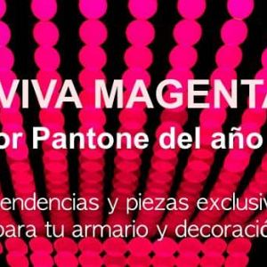 Viva Magenta: Color Pantone y Tendencias del Año 2023